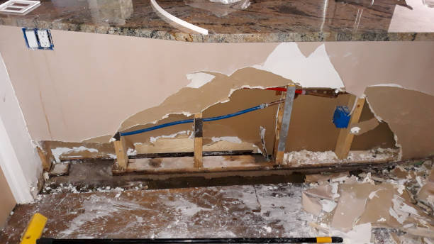 Best Flooded house restoration  in Murrysville, PA