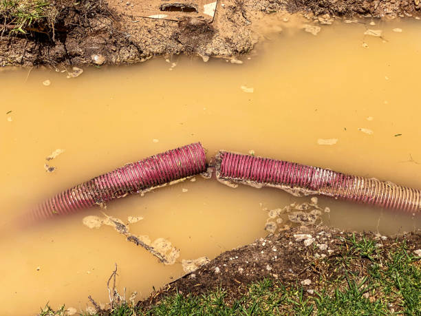 Best Water damage restoration near me  in Murrysville, PA
