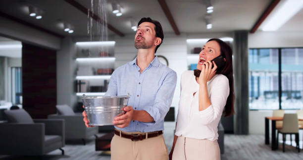 Best Basement water damage restoration  in Murrysville, PA